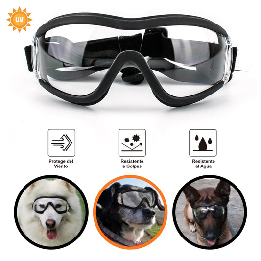 Gafas Para Perros Grandes y Medianos