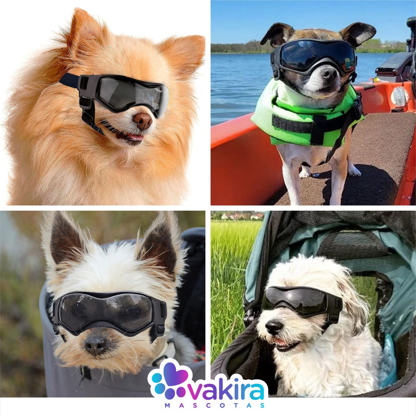 Gafas para Perros Mini y Pequeños