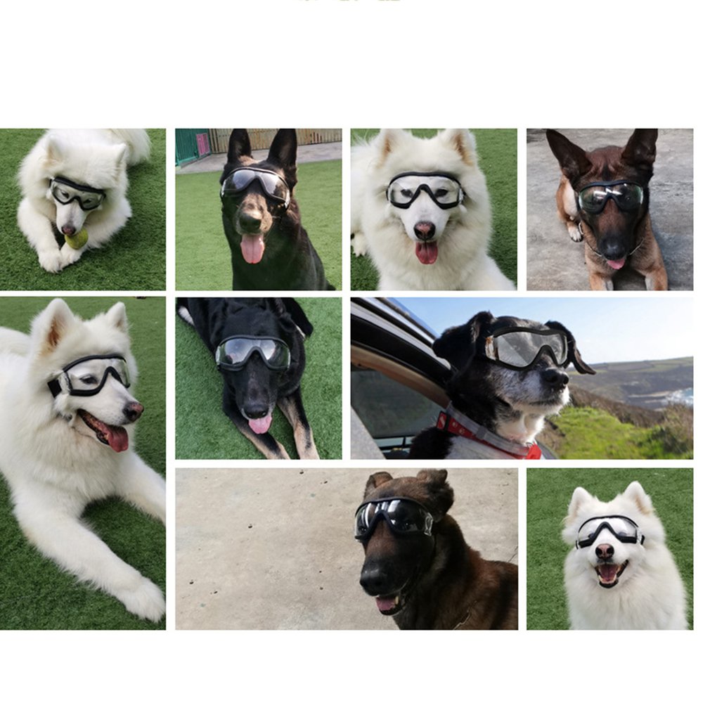 Gafas Para Perros Grandes y Medianos