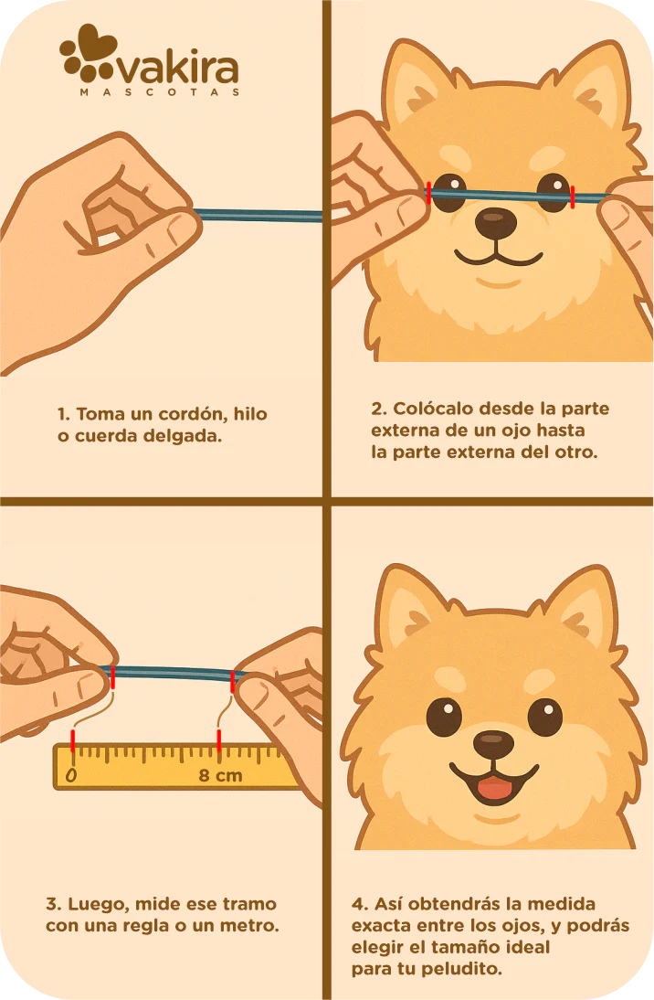 Gafas para Perros Minis y Pequeños – Con Protección UV