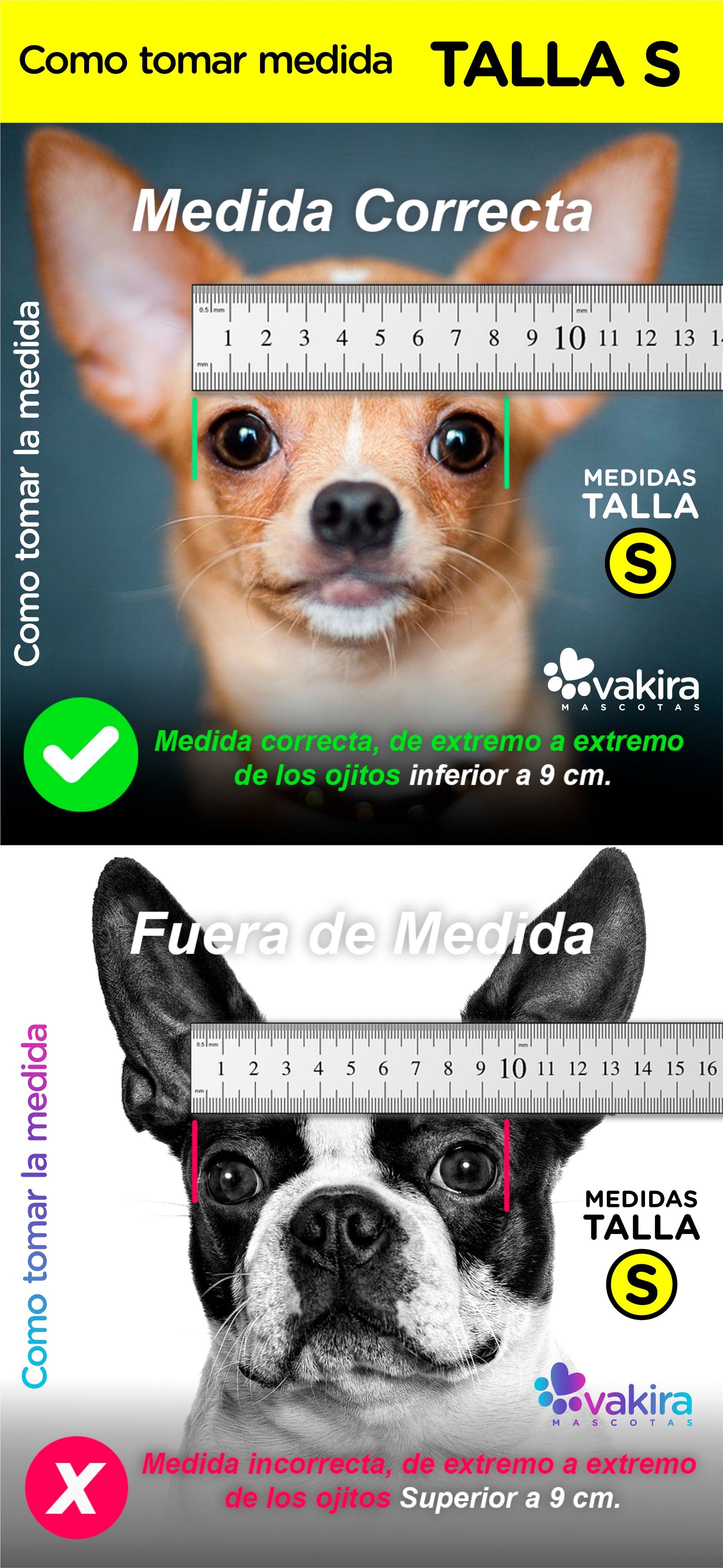 Gafas para Perros Mini y Pequeños