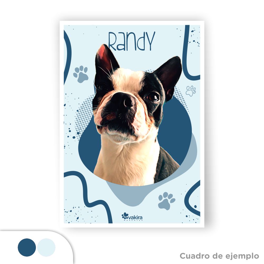 Cuadro Mascota Personalizado