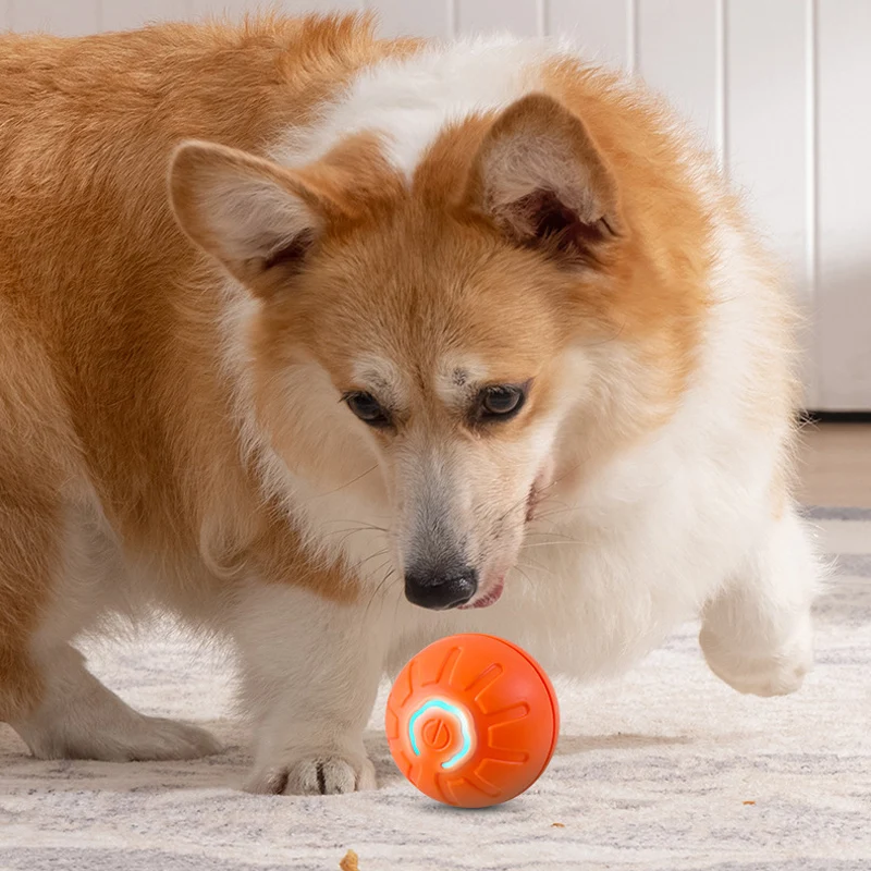 Pelota Regarcable con Movimiento para Mascota