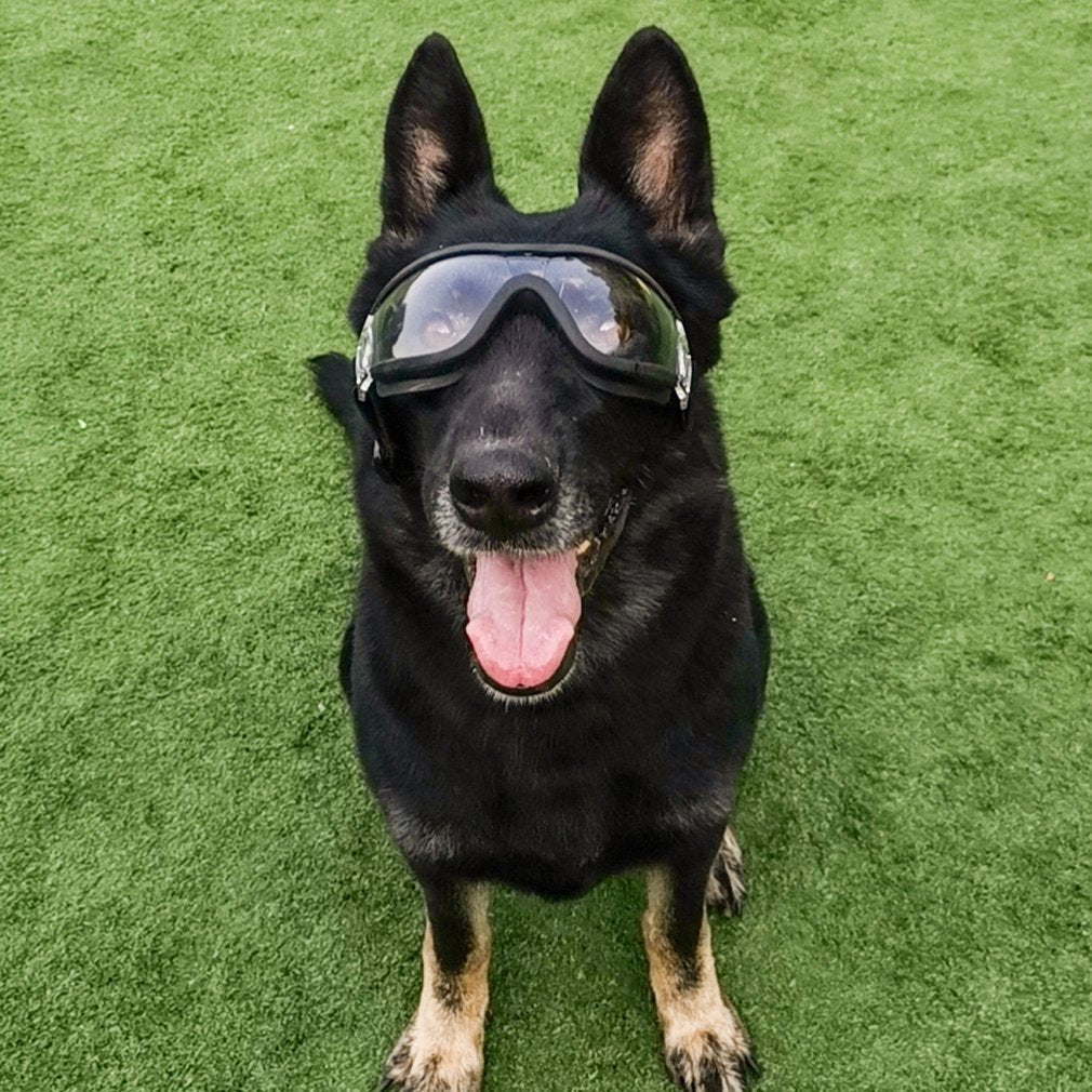 Gafas Para Perros Grandes y Medianos